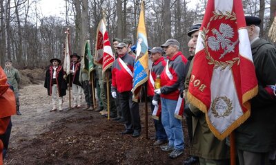 zdjęcie do
														 artykułu: Odkrycie mogił na terenie byłego lotniska w Starym Grodkowie