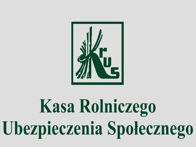 Grafika dekoracyjna
