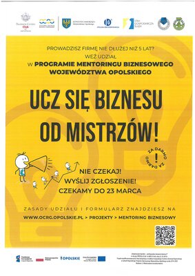 zdjęcie do
														 artykułu: Program Mentoringu Biznesowego Województwa Opolskiego