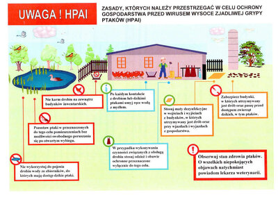 Grafika dekoracyjna