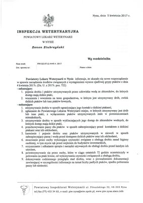 Grafika dekoracyjna