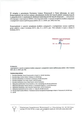 Grafika dekoracyjna