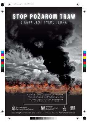 Grafika dekoracyjna