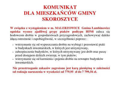 Grafika dekoracyjna