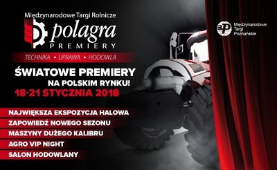 Grafika dekoracyjna
