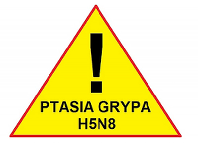 Grafika dekoracyjna