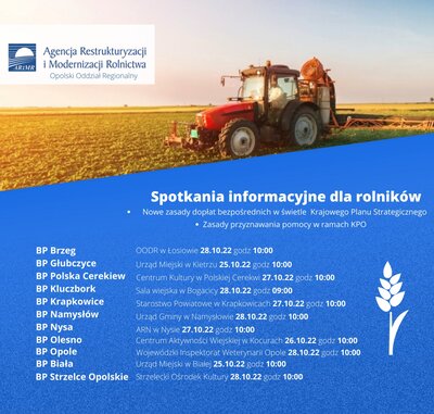 Grafika dekoracyjna