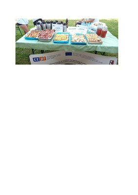 Grafika dekoracyjna