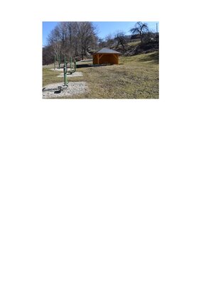 Grafika dekoracyjna