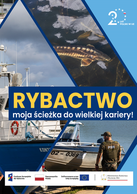 Grafika dekoracyjna