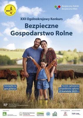Grafika dekoracyjna