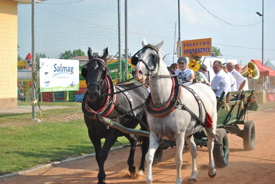 zdjęcie do
														 artykułu: Dożynki 2016 w Skoroszycach za nami 